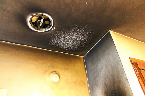 Smoke Damage Remediation Service